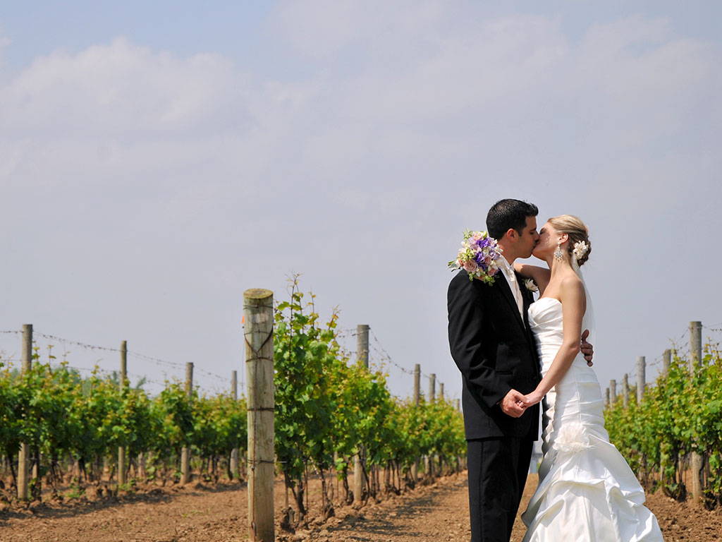  Steve Pomerleau Photography