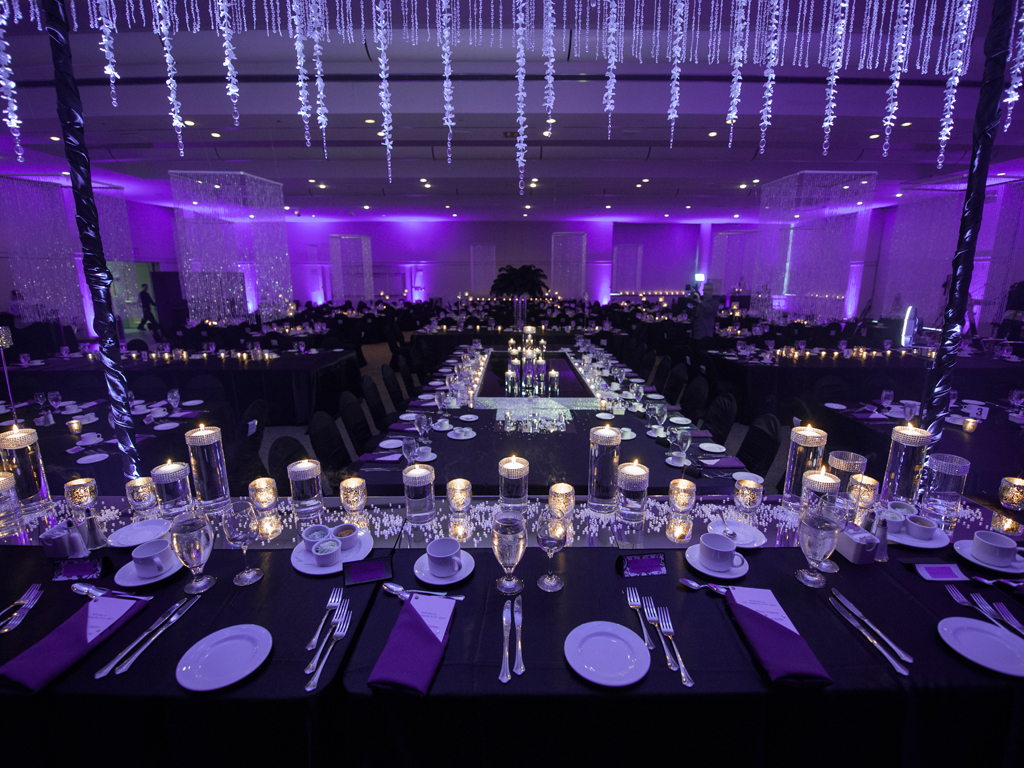 Signature Design Photography