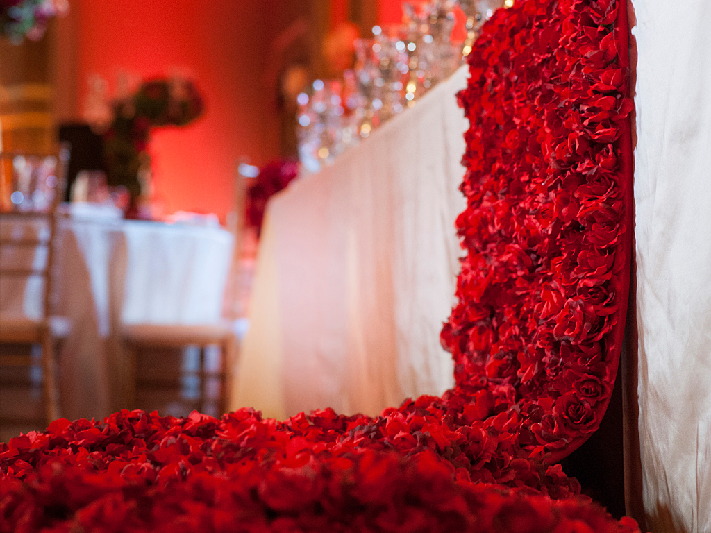 Signature Design Photography