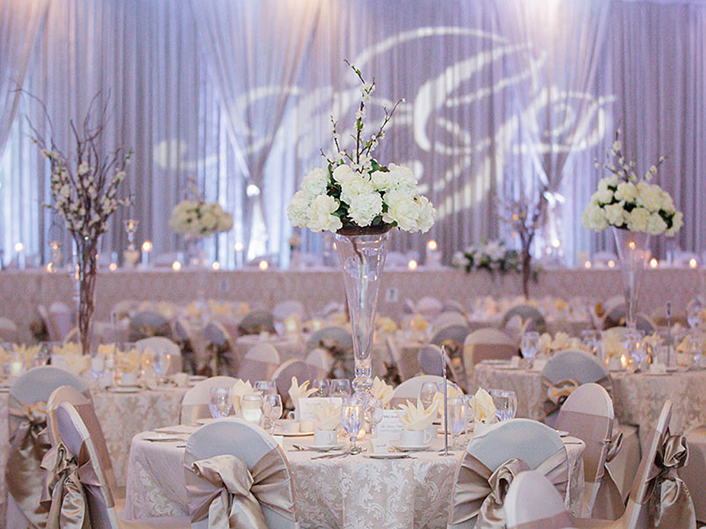 Eryn Shea Photography